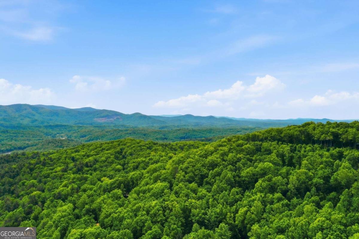 1564 Big Ben Road Ellijay - Photo 63