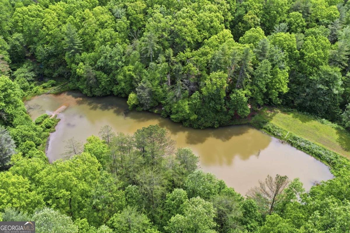 1564 Big Ben Road Ellijay - Photo 8