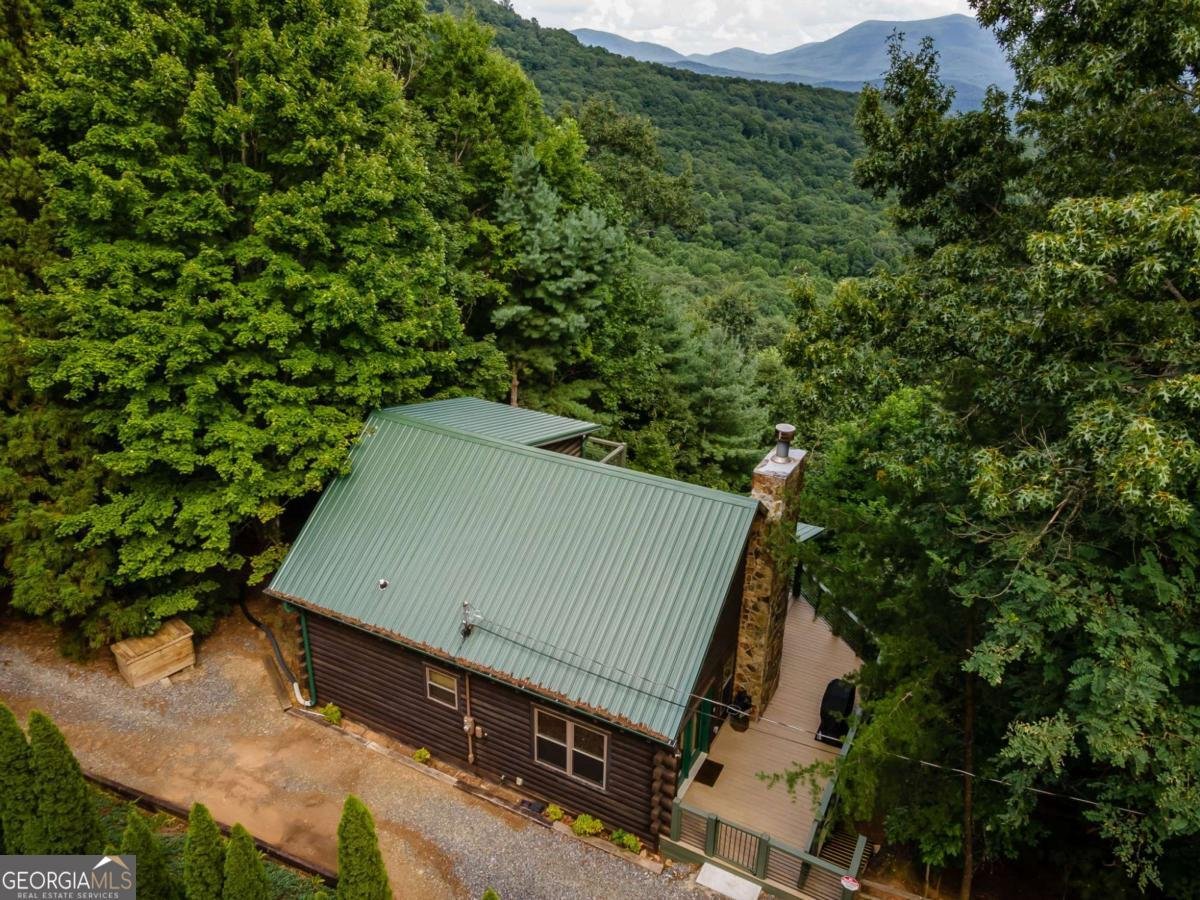 32 Little Amy Creek Trail Ellijay - Photo 51