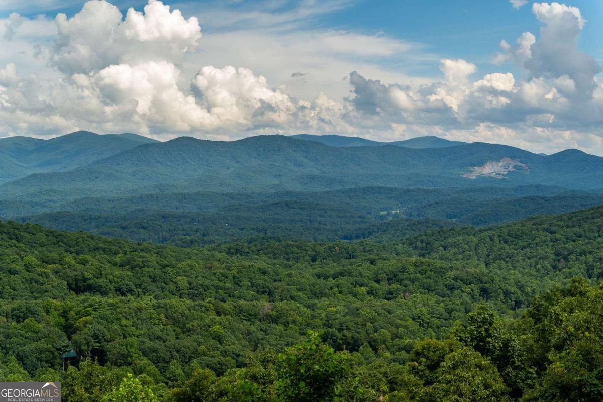 32 Little Amy Creek Trail Ellijay - Photo 52