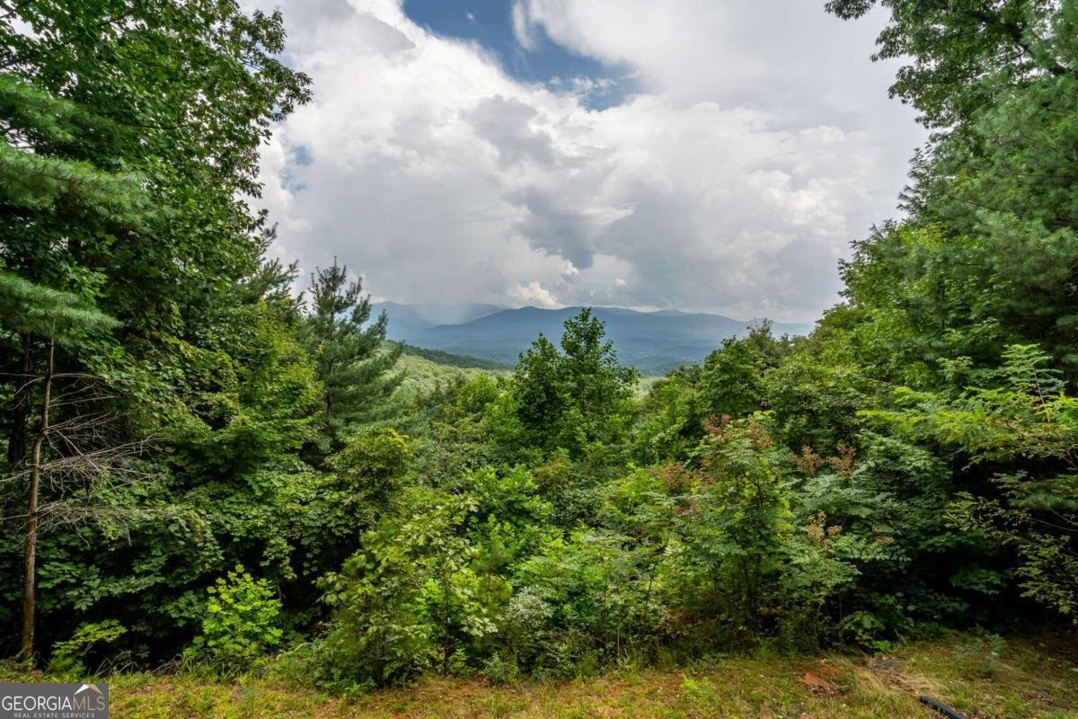 32 Little Amy Creek Trail Ellijay - Photo 54