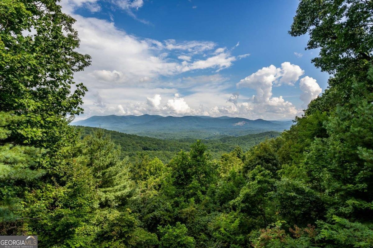 32 Little Amy Creek Trail Ellijay - Photo 55