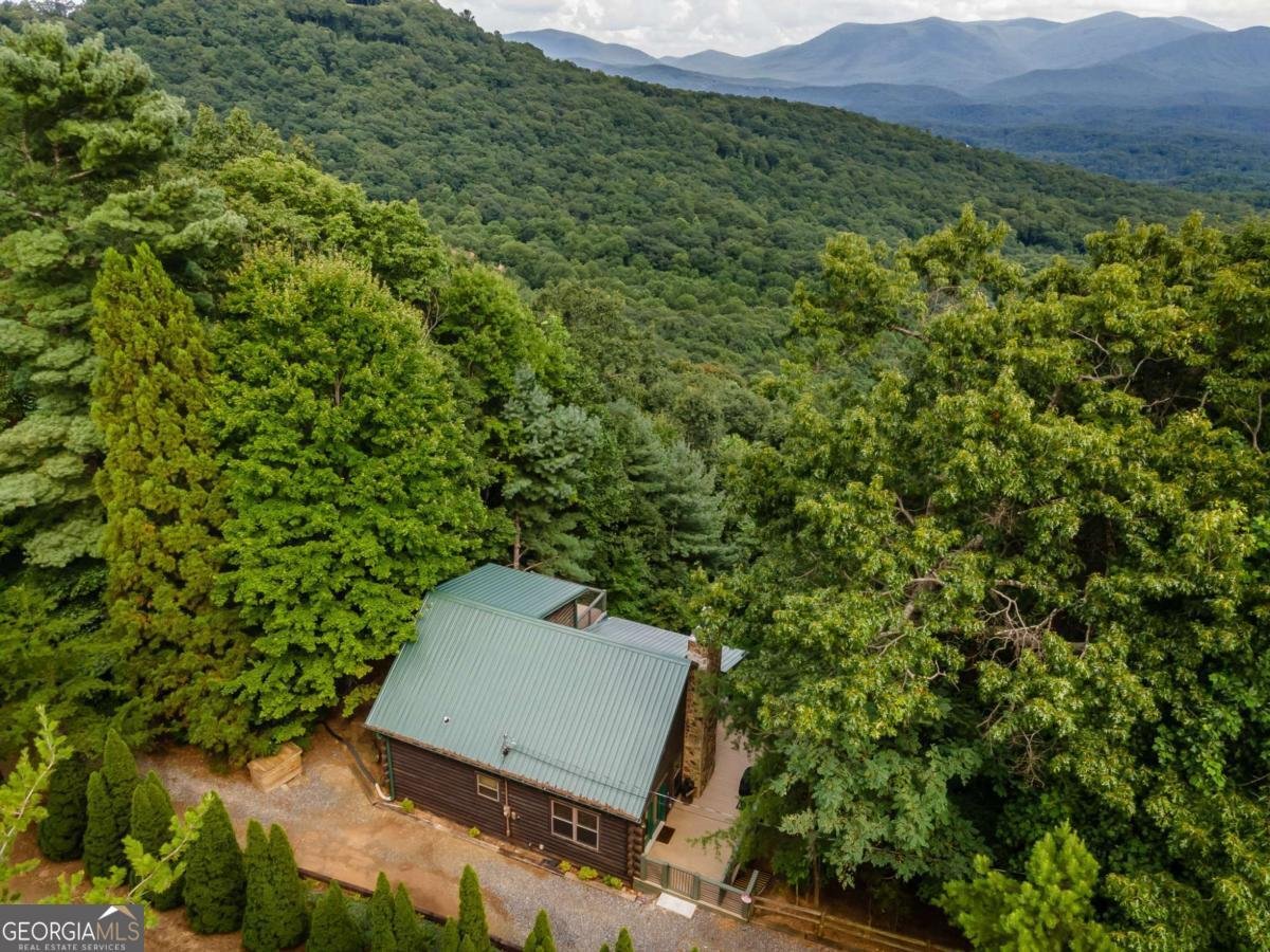 32 Little Amy Creek Trail Ellijay - Photo 56