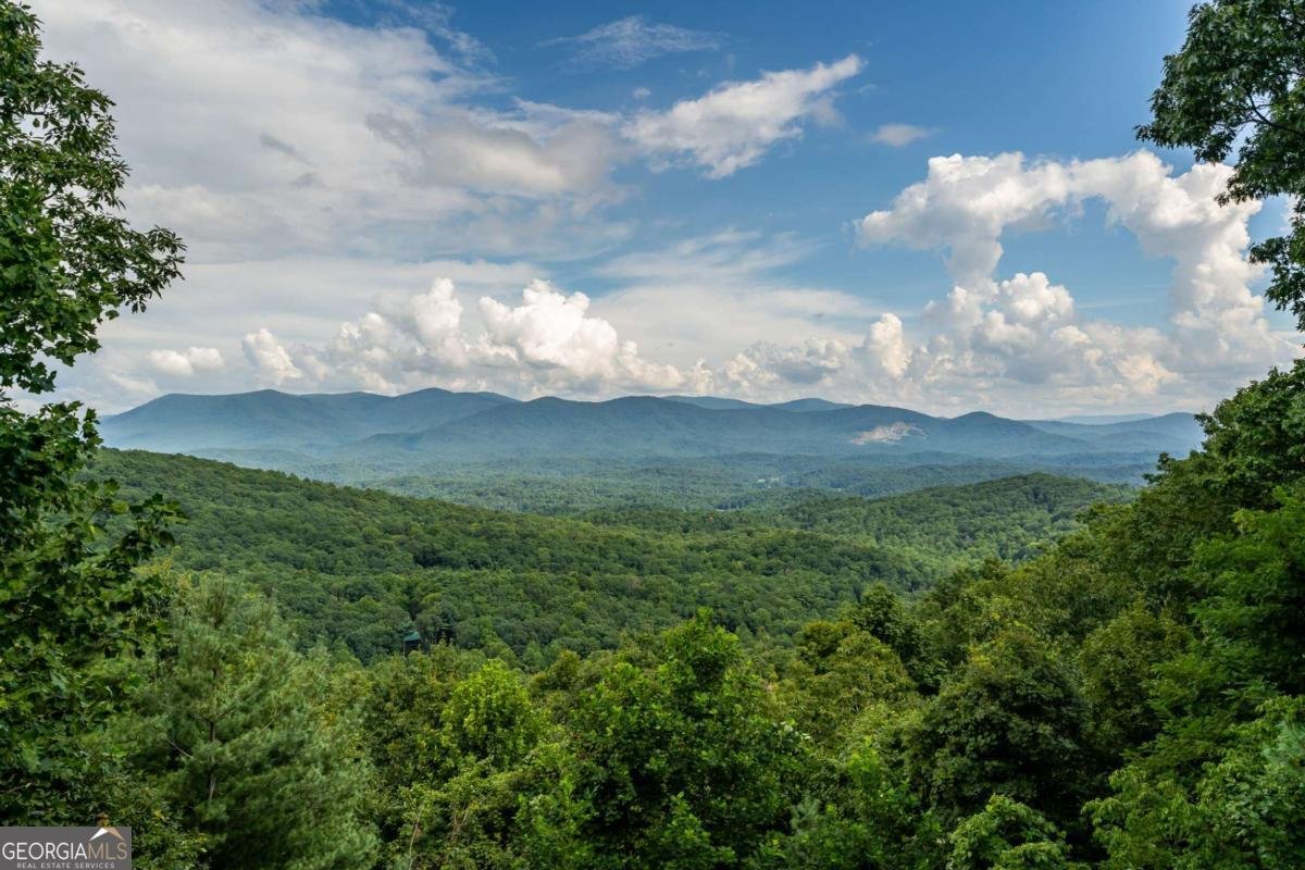 32 Little Amy Creek Trail Ellijay - Photo 57