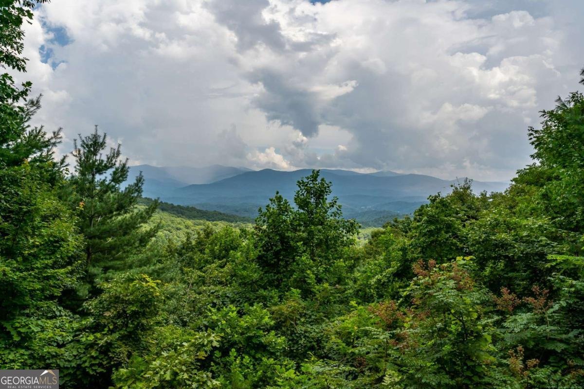 32 Little Amy Creek Trail Ellijay - Photo 58