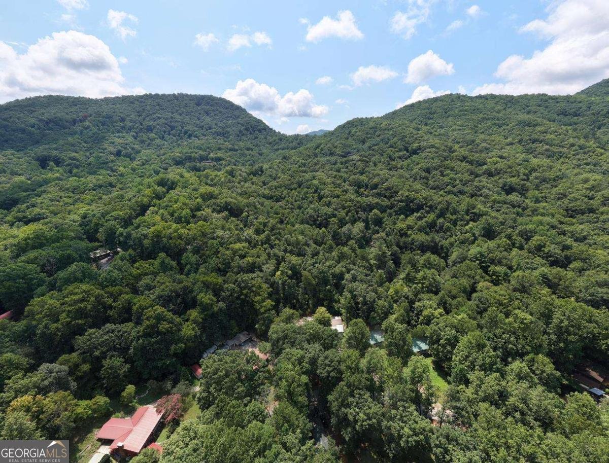 338 Gander Gap Road Hiawassee - Photo 58