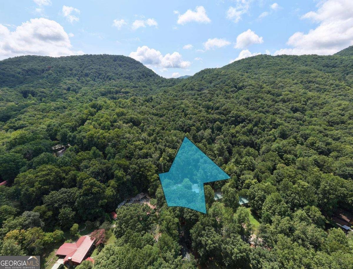338 Gander Gap Road Hiawassee - Photo 59