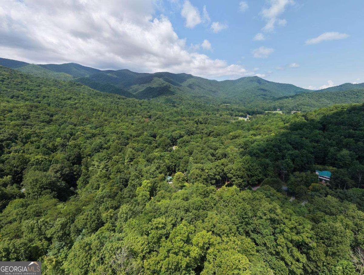 338 Gander Gap Road Hiawassee - Photo 60