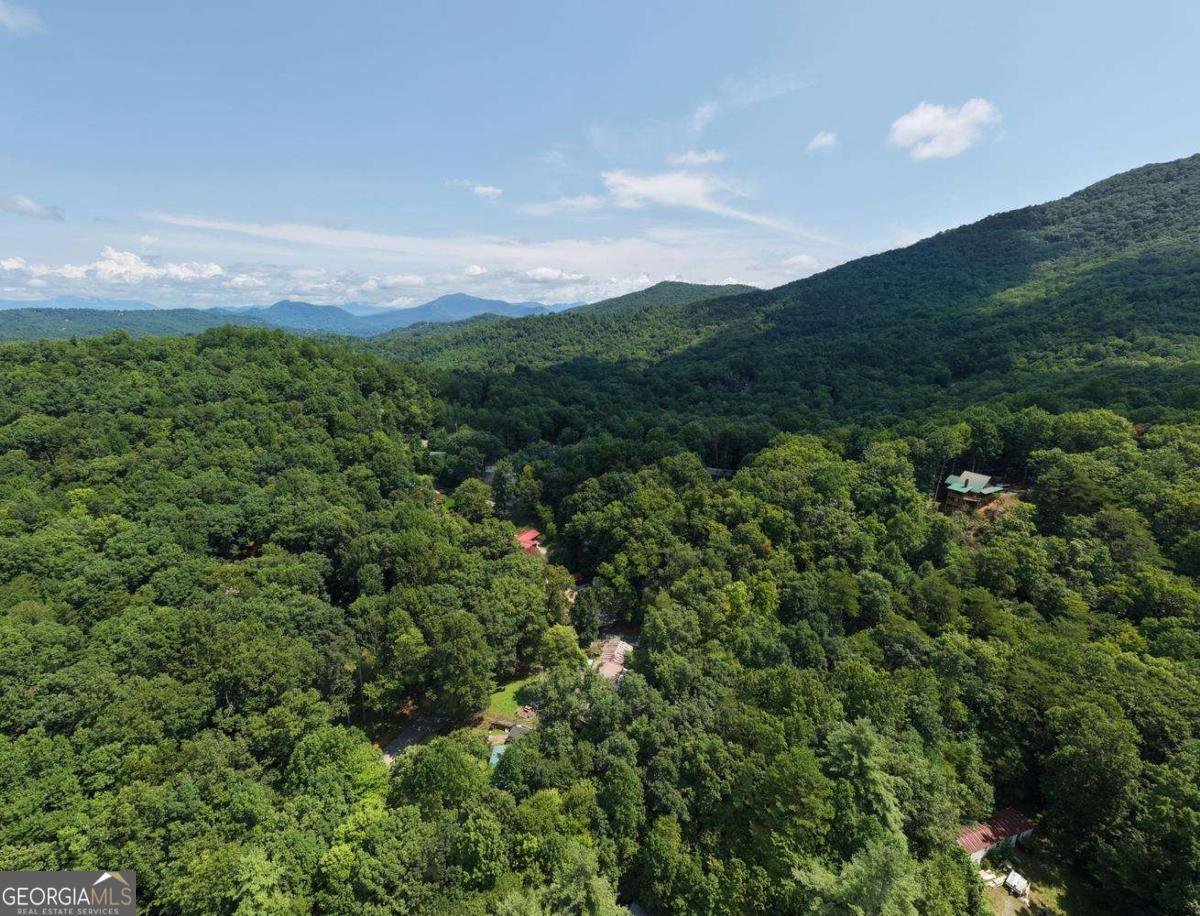 338 Gander Gap Road Hiawassee - Photo 61