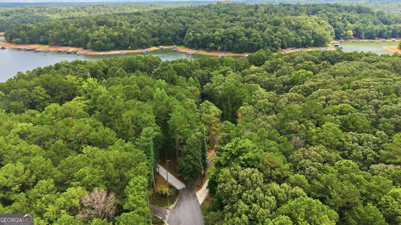 675 Currahee Ridge Road Toccoa - Photo 53