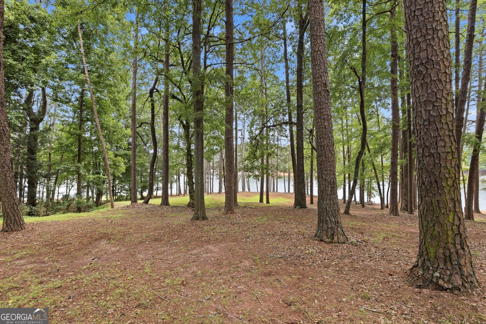 675 Currahee Ridge Road Toccoa - Photo 72