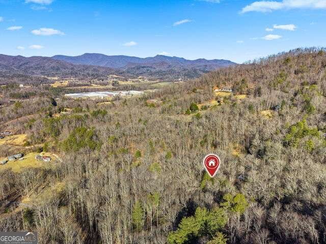 355 Henslee Hollow Lane Rabun Gap - Photo 9