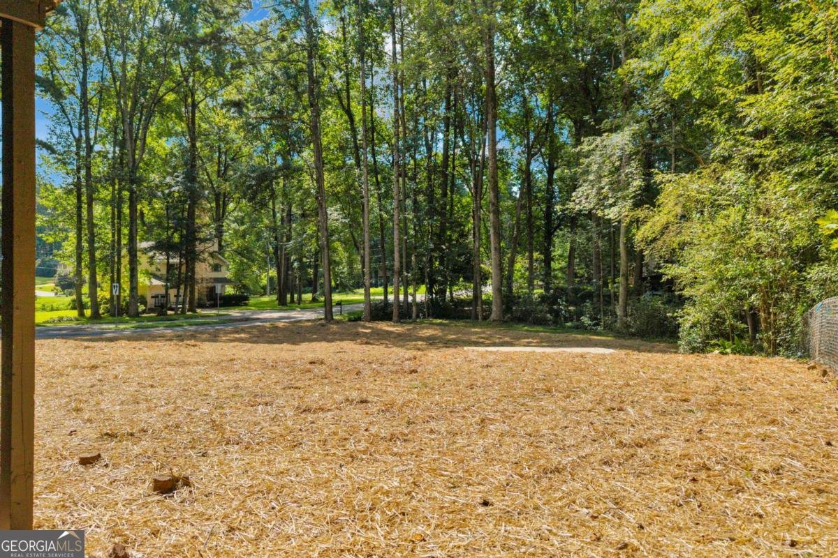 6193 Pine Lane Douglasville - Photo 52