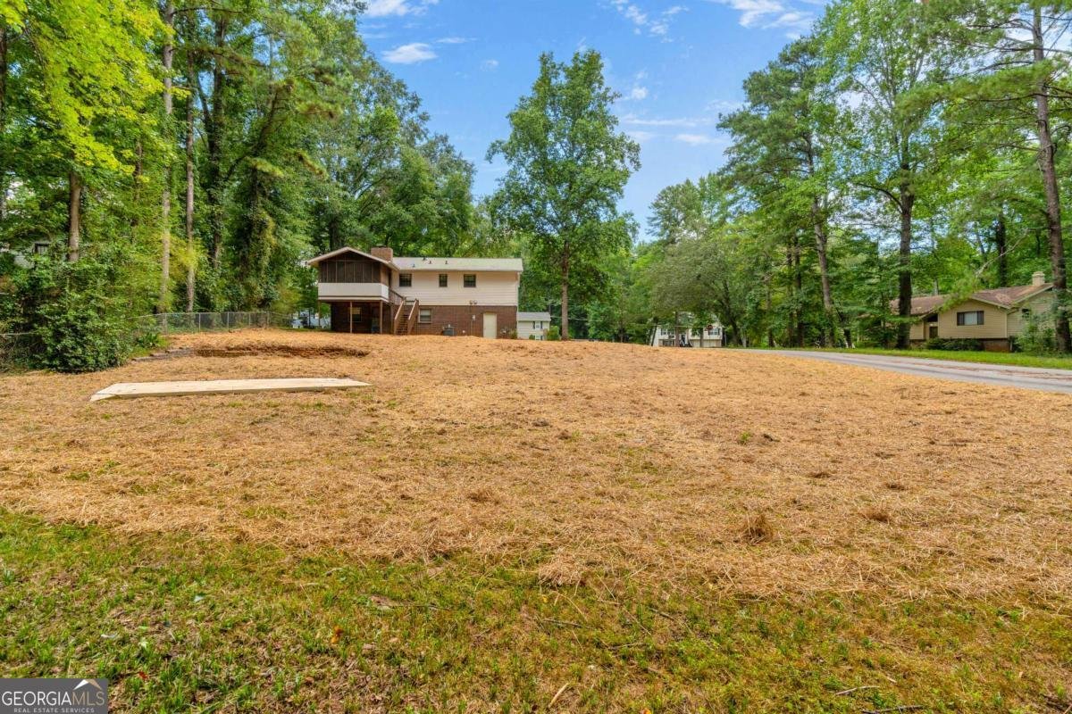 6193 Pine Lane Douglasville - Photo 53