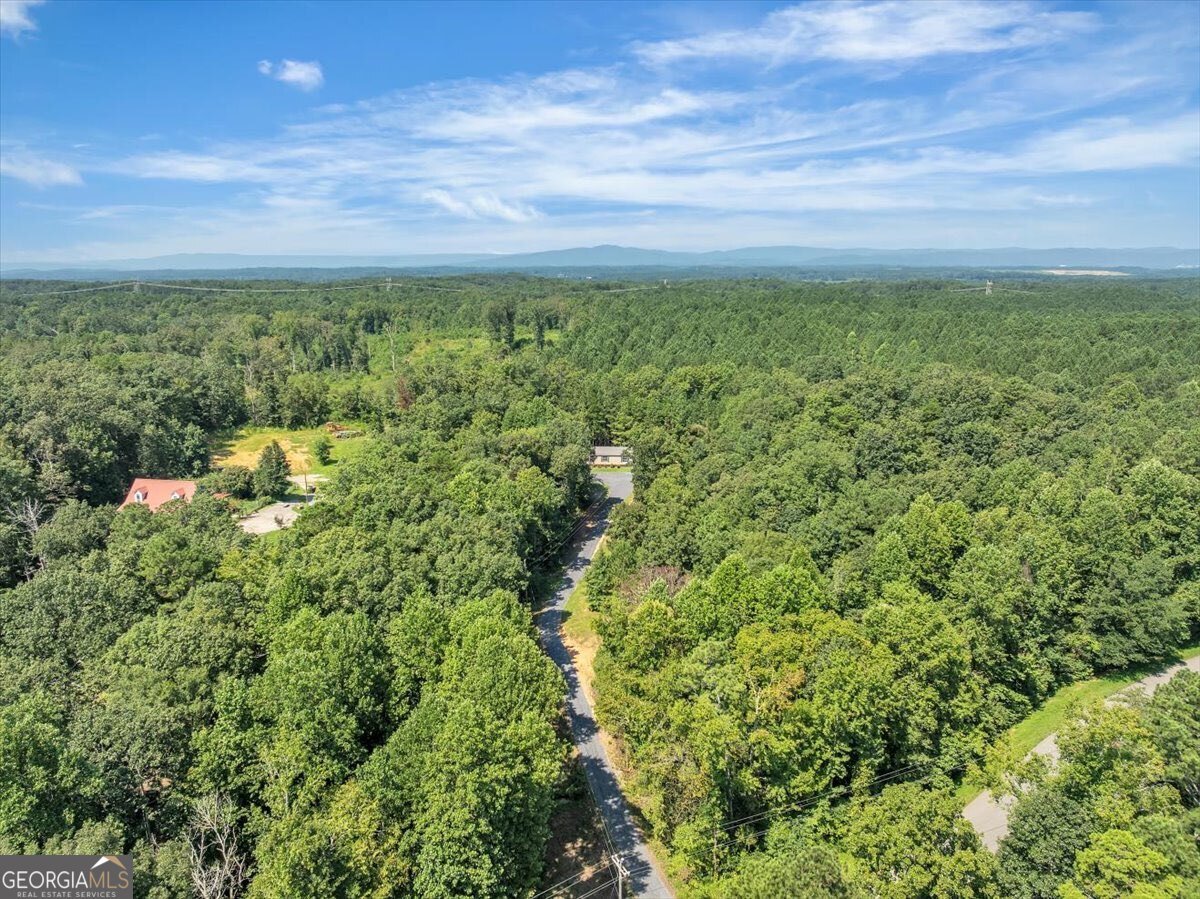 827 Brackett Ridge Road Chatsworth - Photo 6
