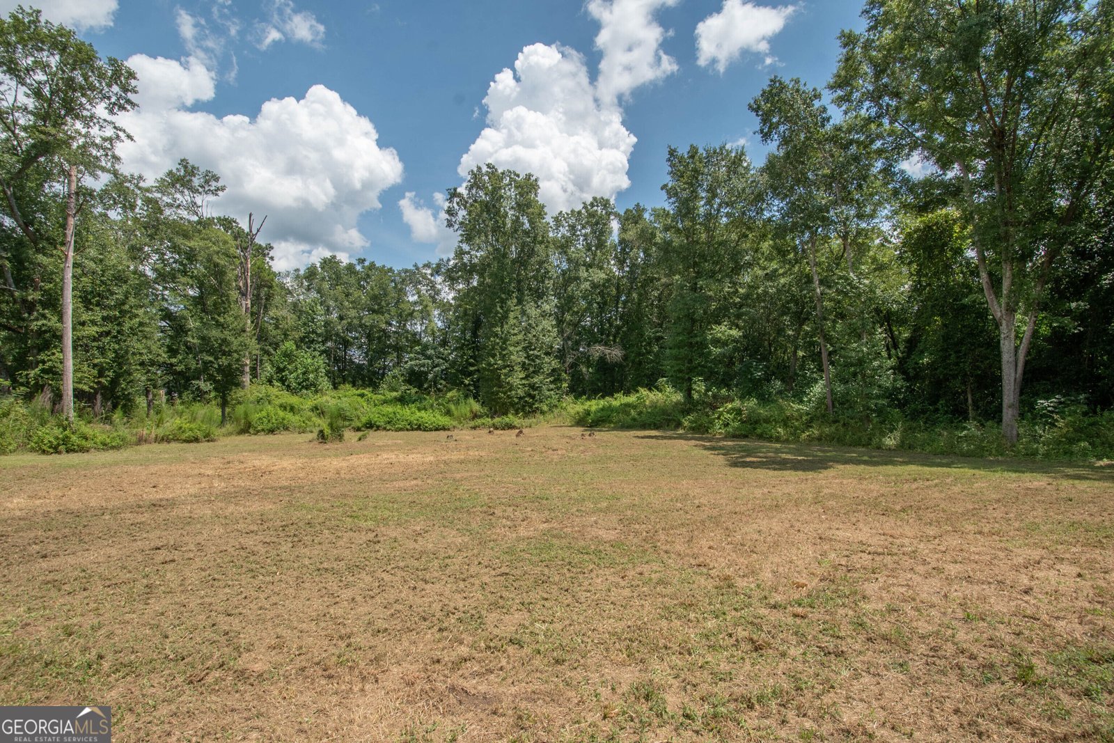 196 Dogwood Lane Woodbury - Photo 31