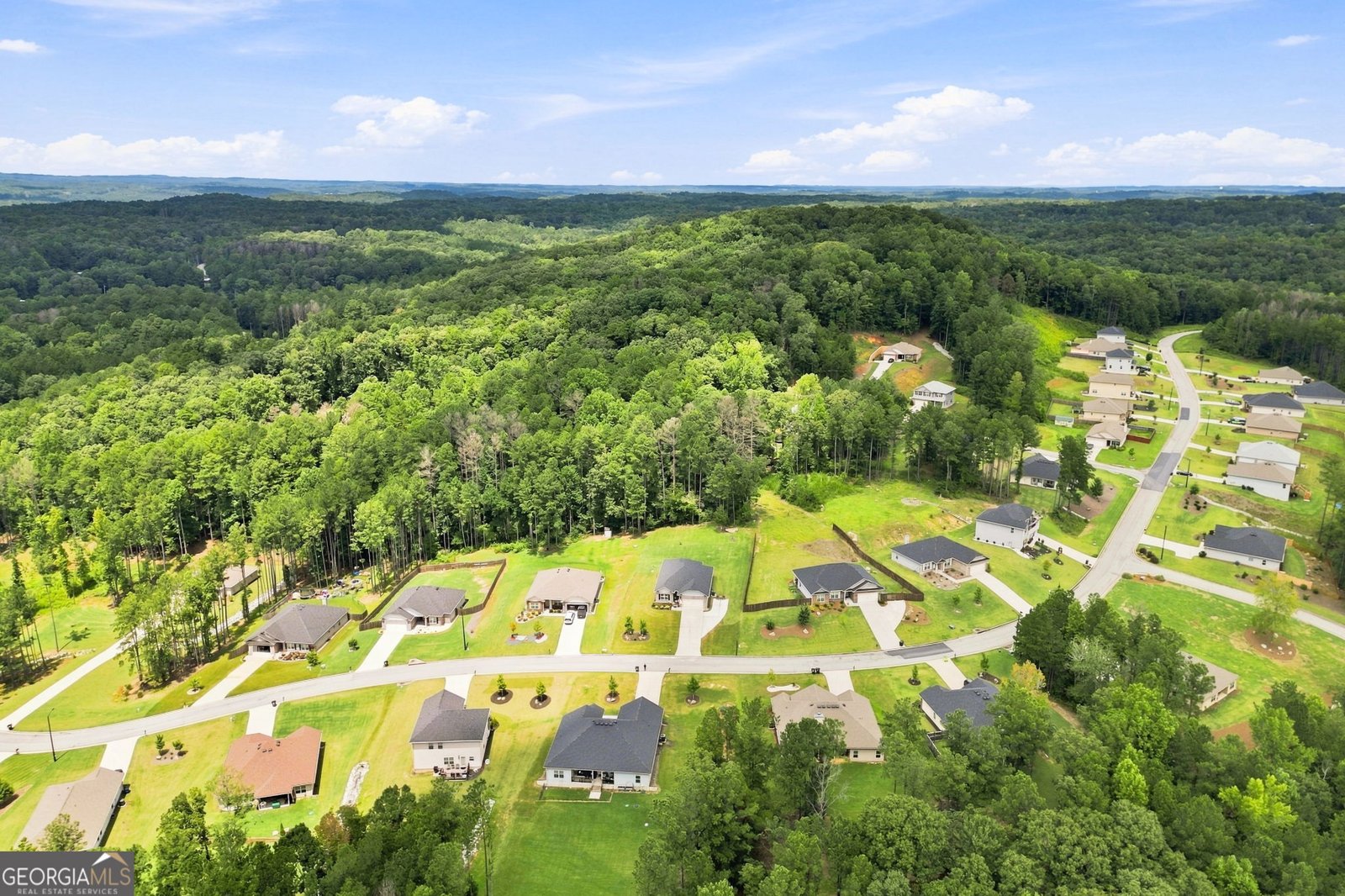 173 Bramlett Ridge Drive Dallas - Photo 30