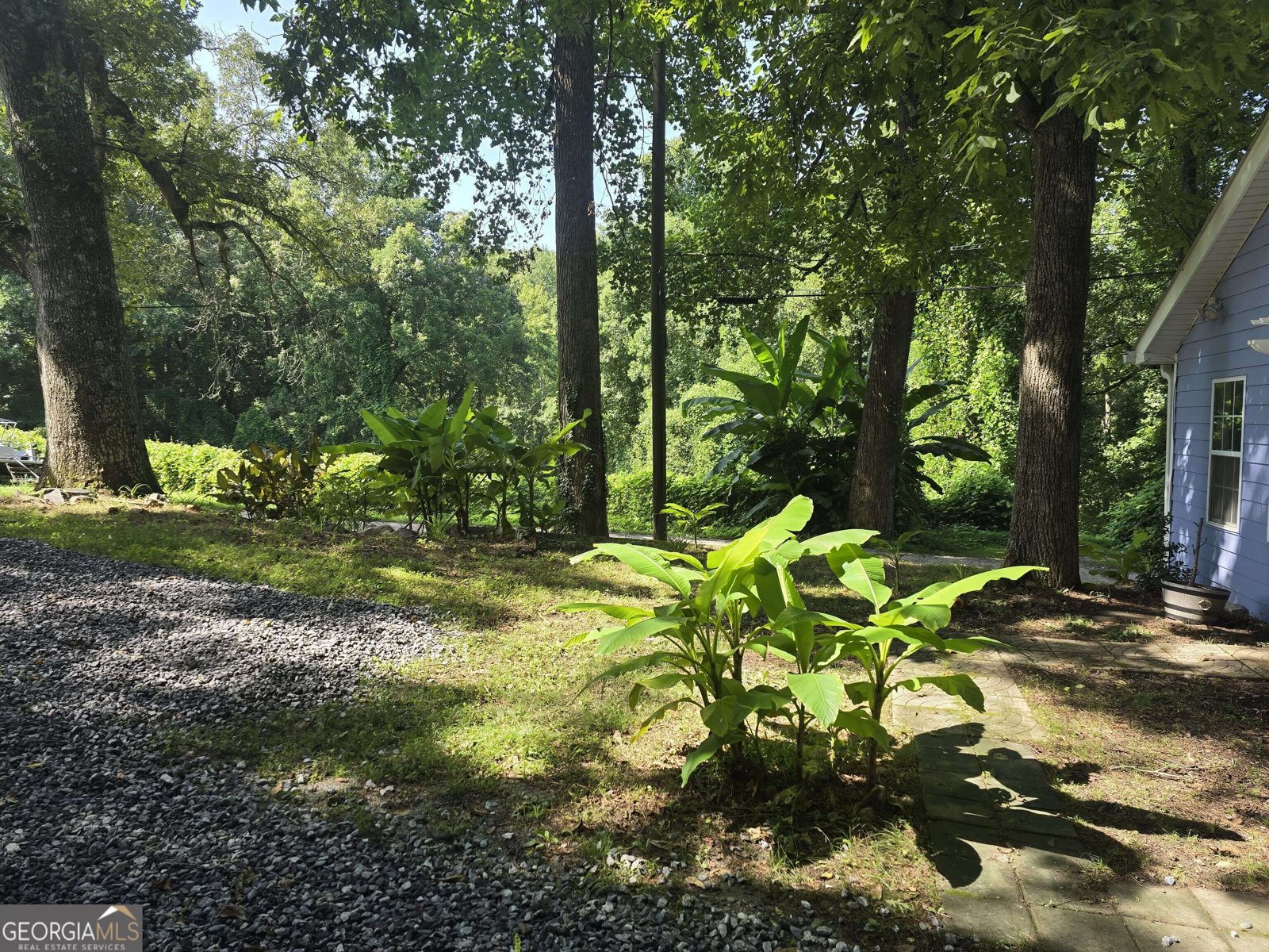 5402-08 Mount Shores Circle Gainesville - Photo 12