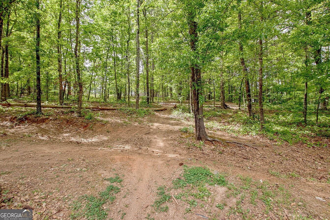 374 Persimmon Drive Sharpsburg - Photo 71