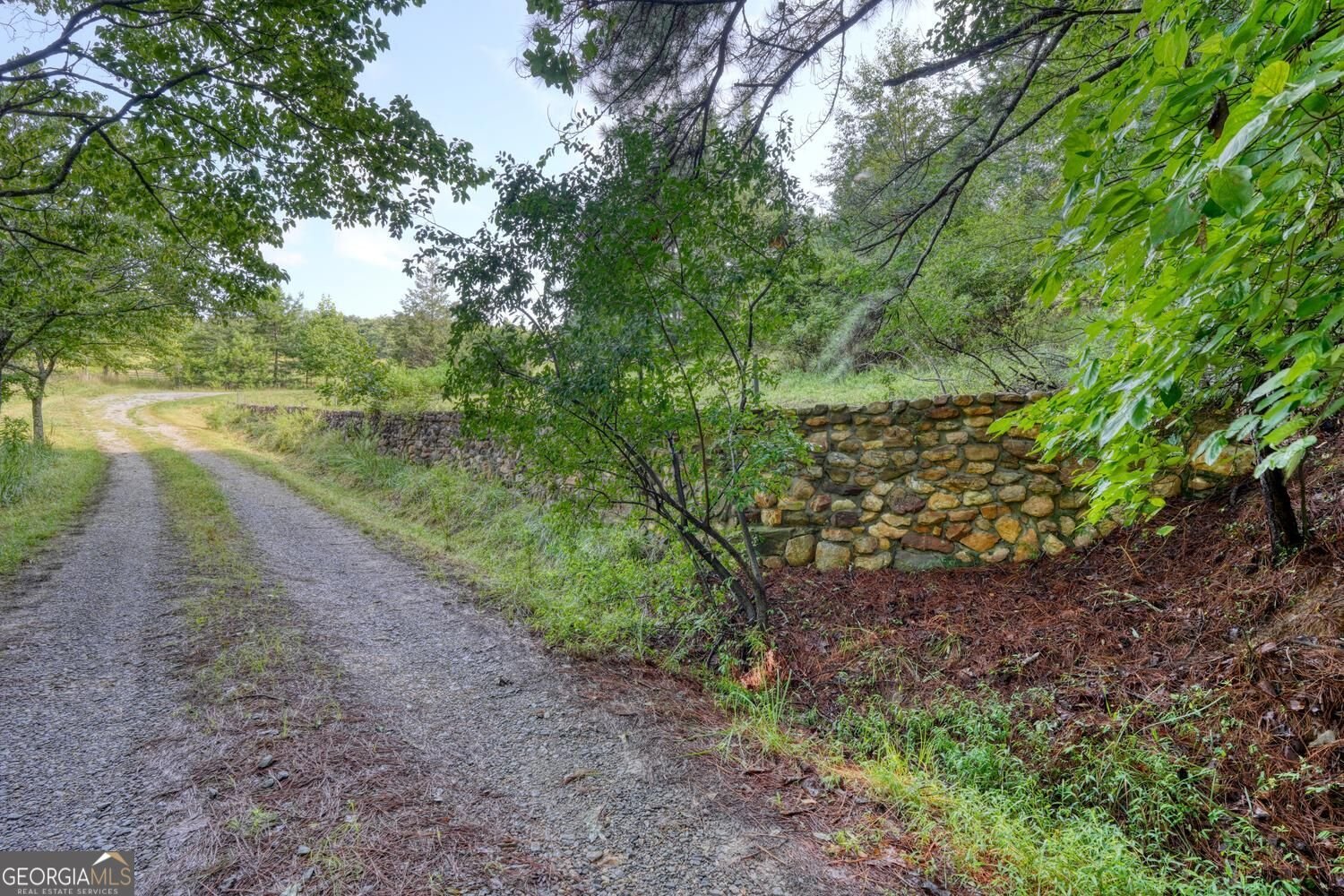 4782 Squirrel Hunting Road Morganton - Photo 43