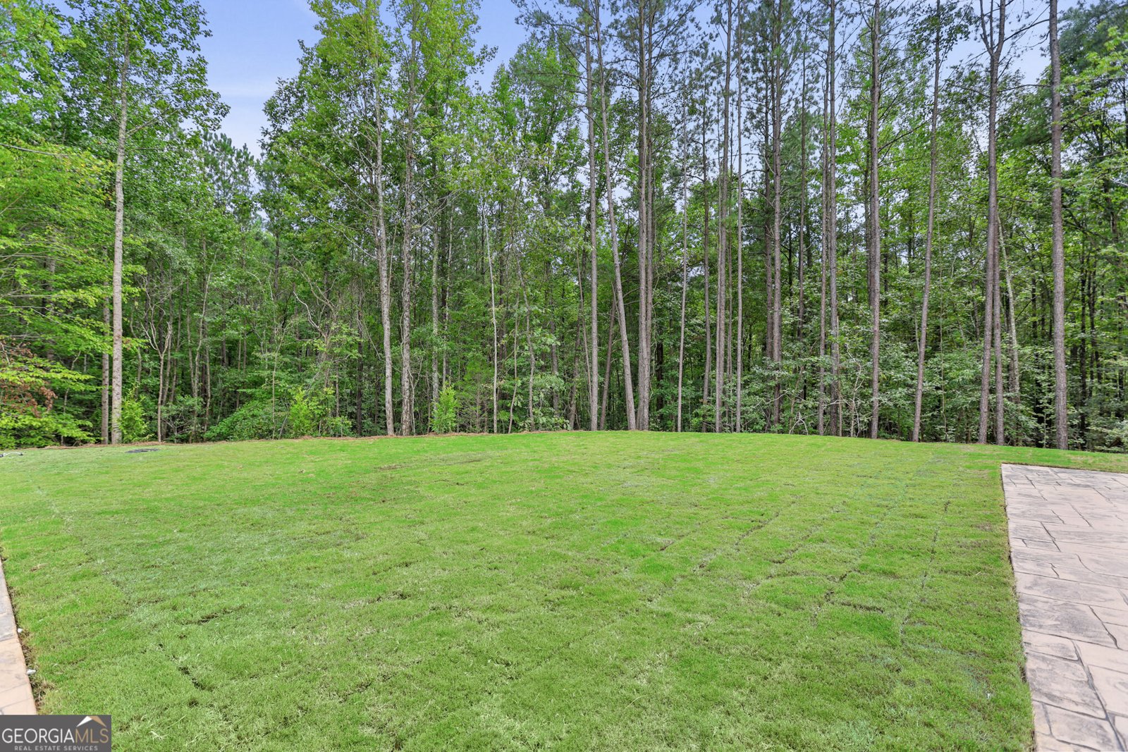 9800 Cedar Grove Road Chattahoochee Hills - Photo 117