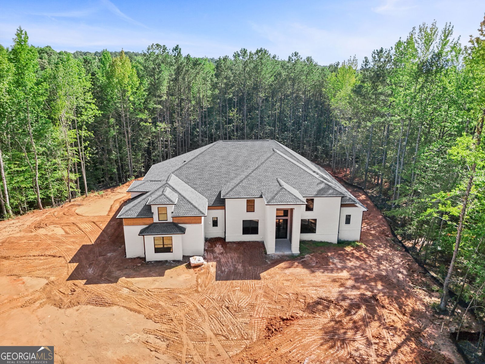 9800 Cedar Grove Road Chattahoochee Hills - Photo 6