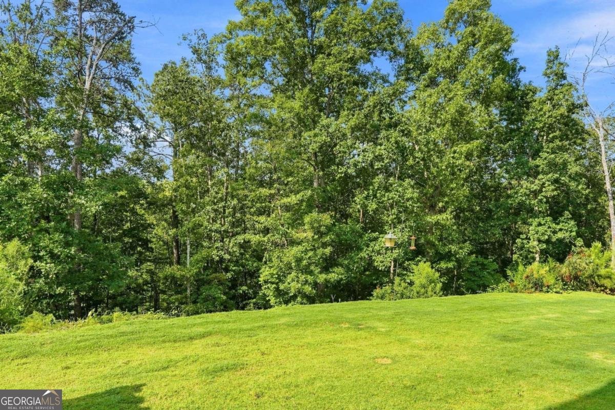 229 Lakeside Place Canton - Photo 40