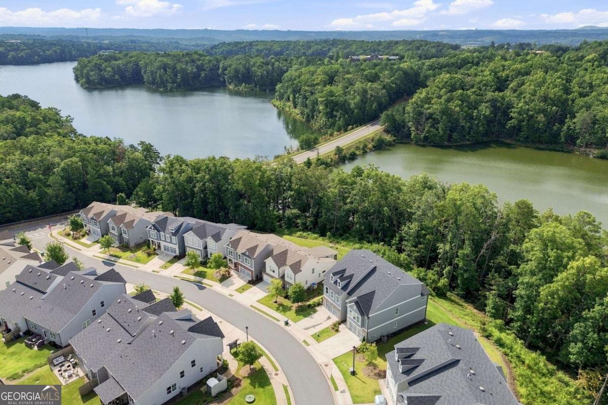 229 Lakeside Place Canton - Photo 42