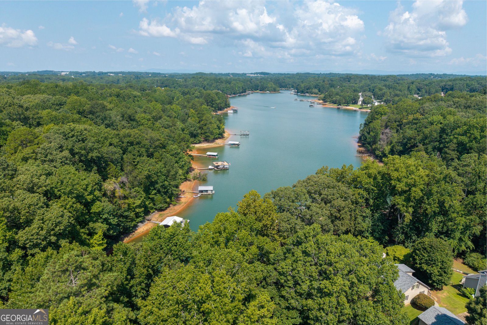 346 Indian Cove Drive Dawsonville - Photo 38