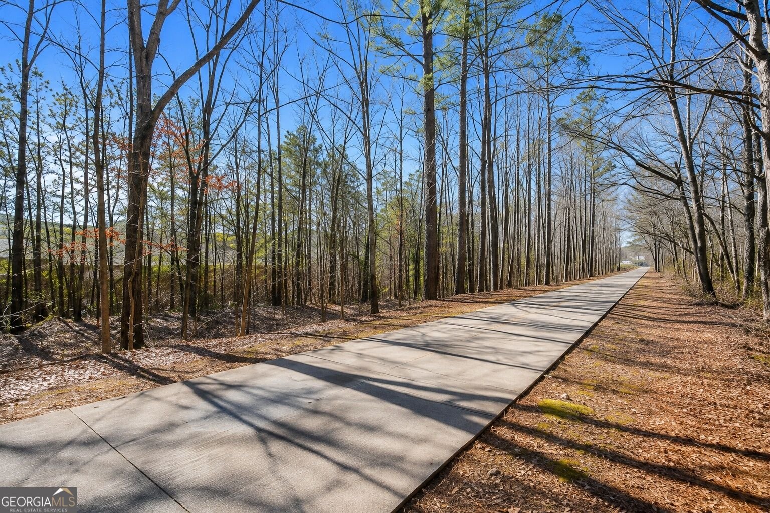 90 Trailview Lane Hiram - Photo 40