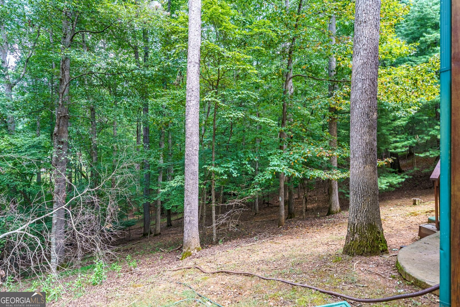 114 Rockingham Way Ellijay - Photo 41