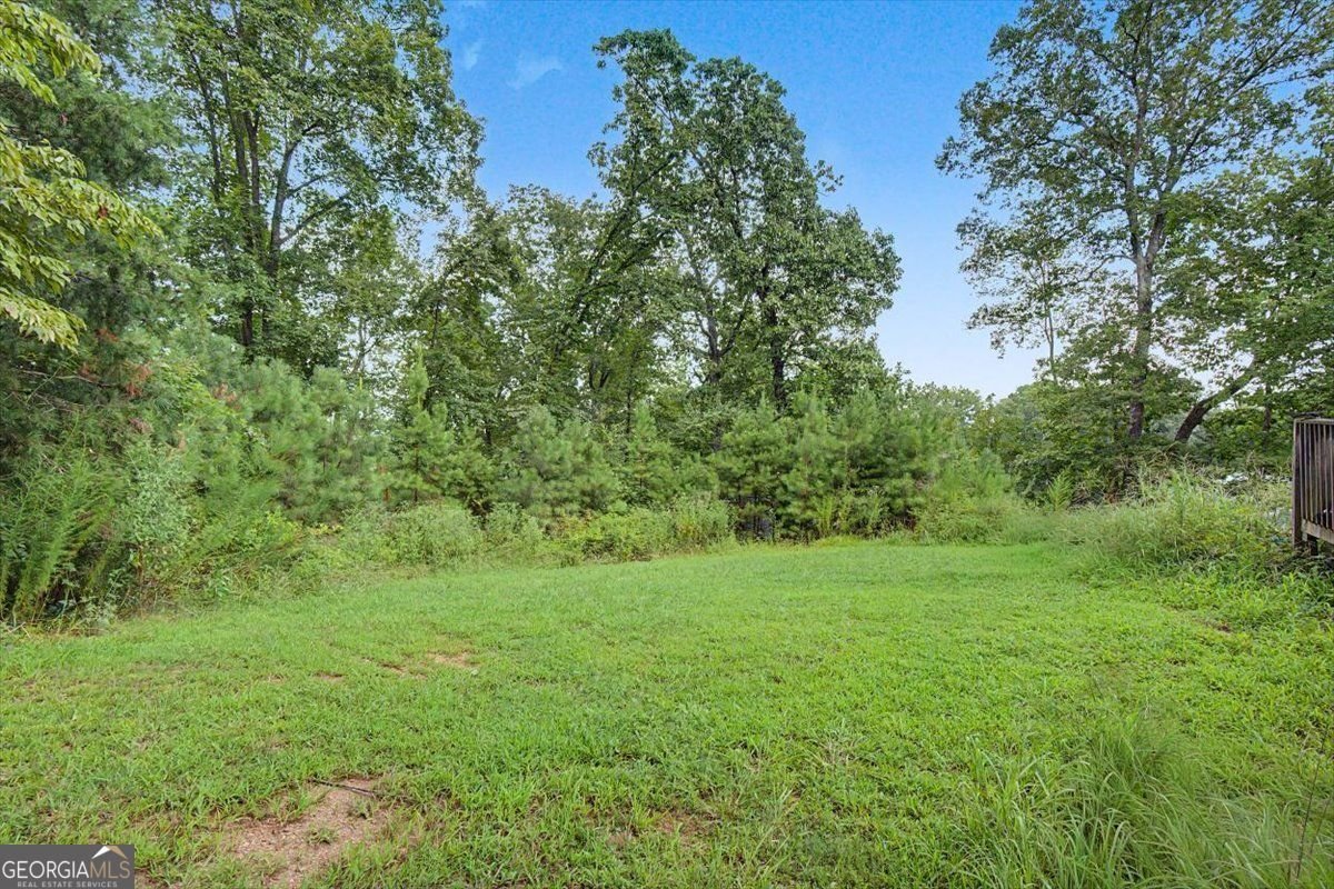276 Wilderness Camp Road White - Photo 18