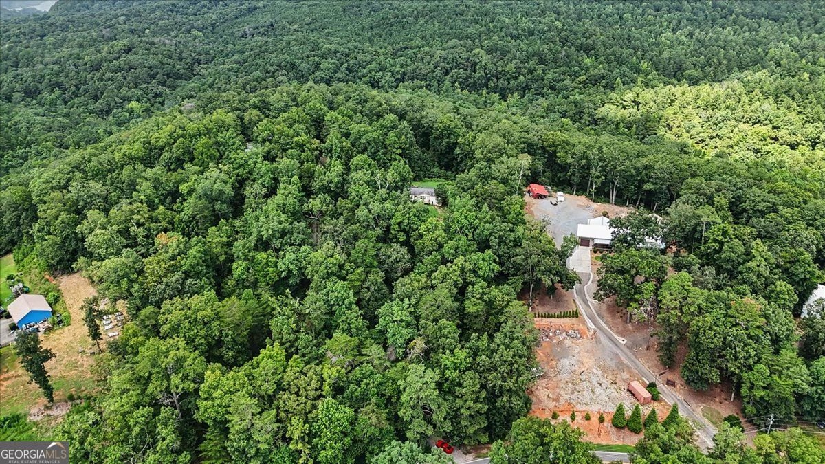 276 Wilderness Camp Road White - Photo 20