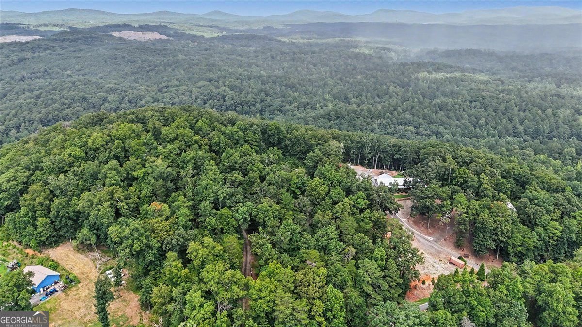 276 Wilderness Camp Road White - Photo 24