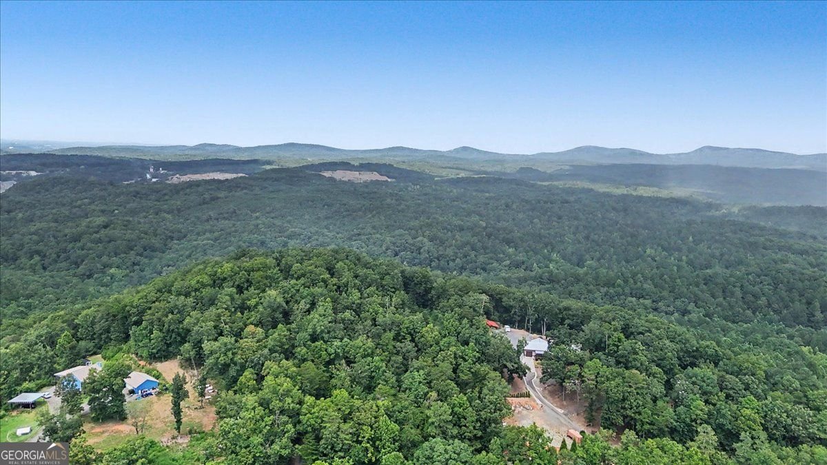 276 Wilderness Camp Road White - Photo 25