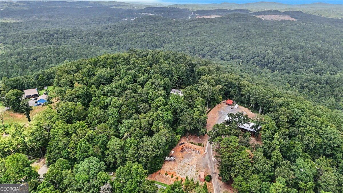 276 Wilderness Camp Road White - Photo 26