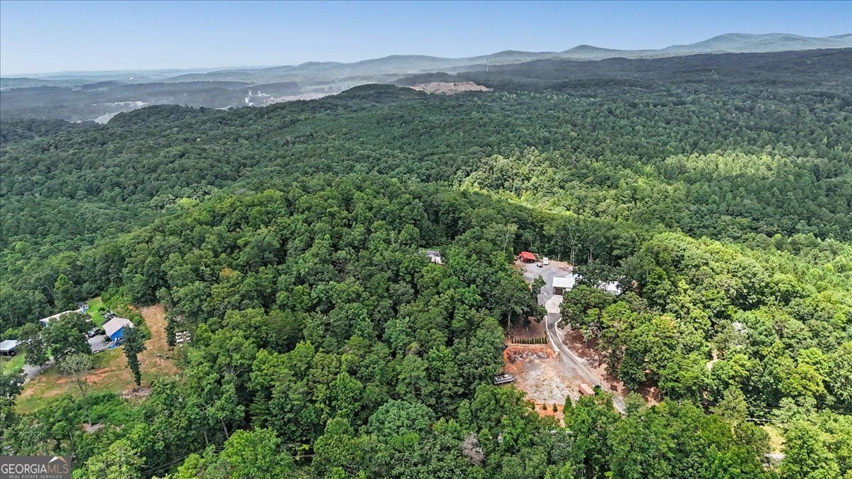 276 Wilderness Camp Road White - Photo 6