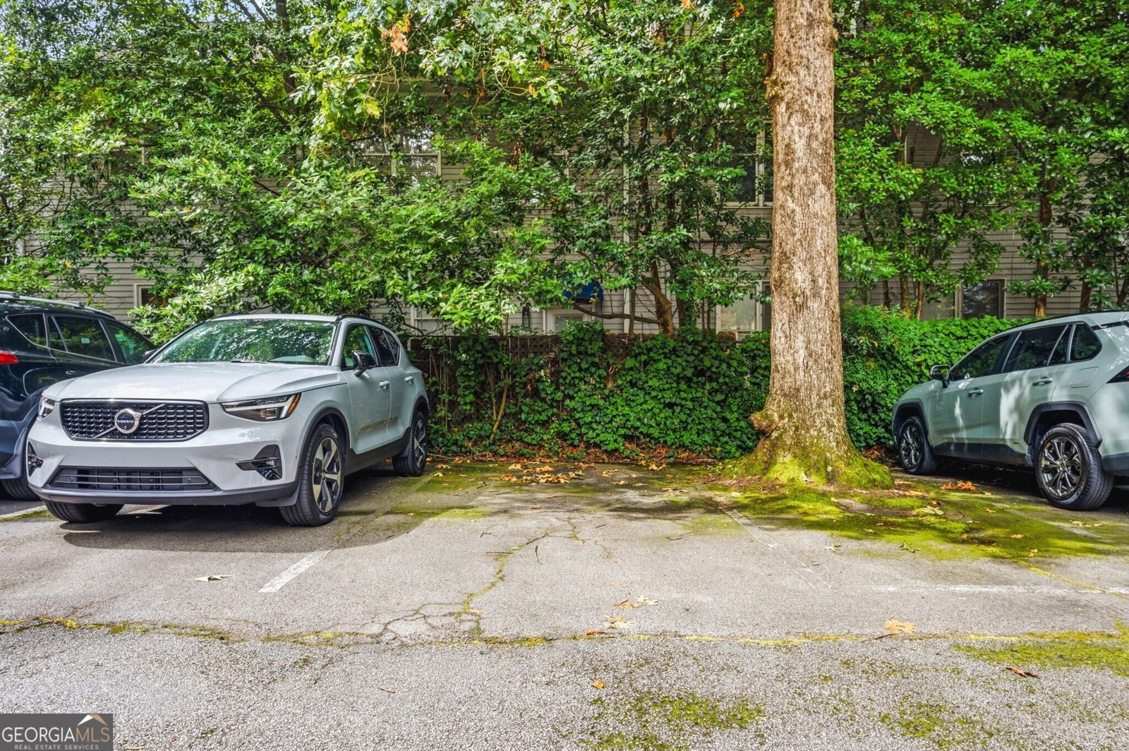 907 Piedmont Avenue Atlanta - Photo 8