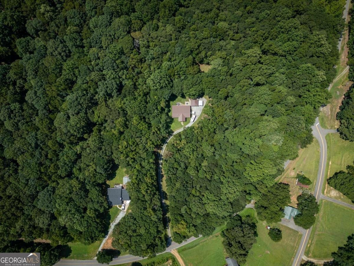 1425 Shiloh Fort Lamar Road Danielsville - Photo 41