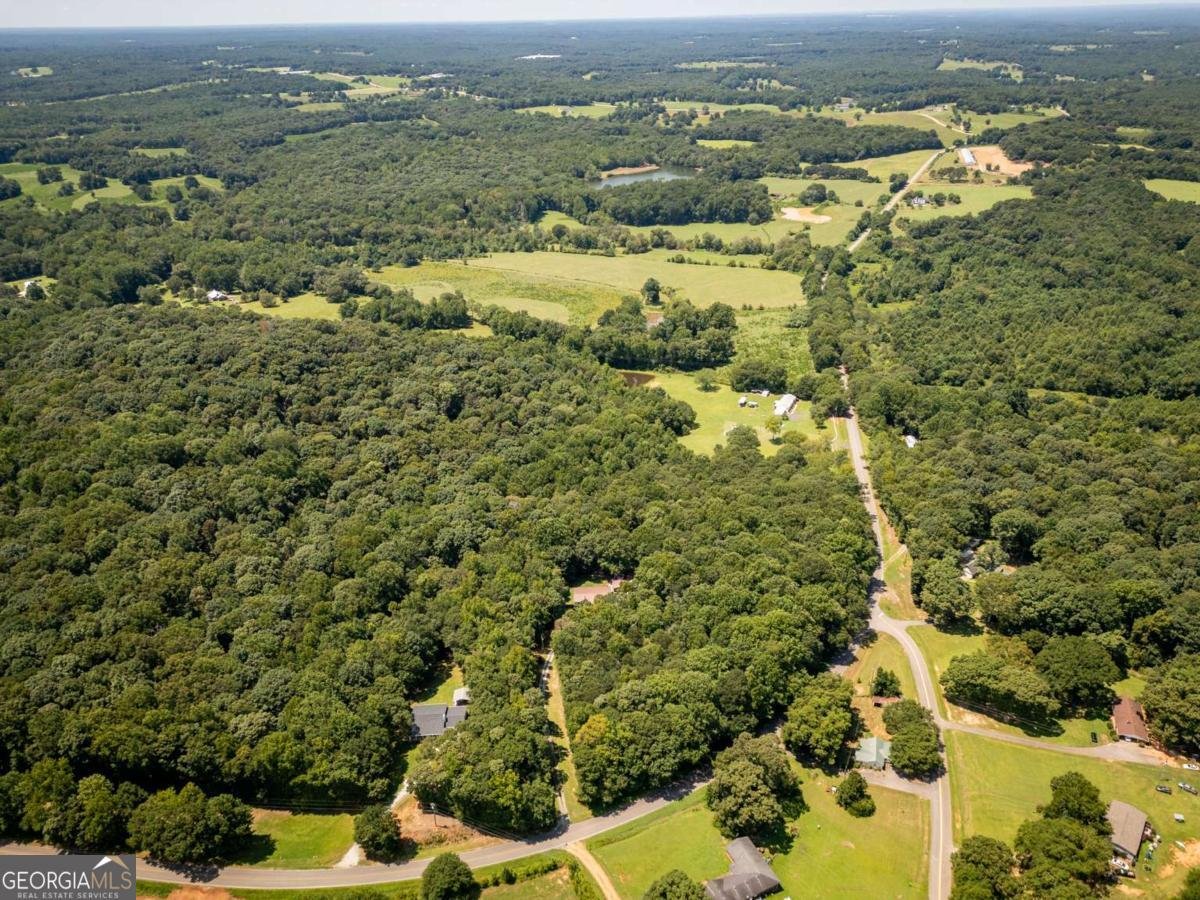 1425 Shiloh Fort Lamar Road Danielsville - Photo 42