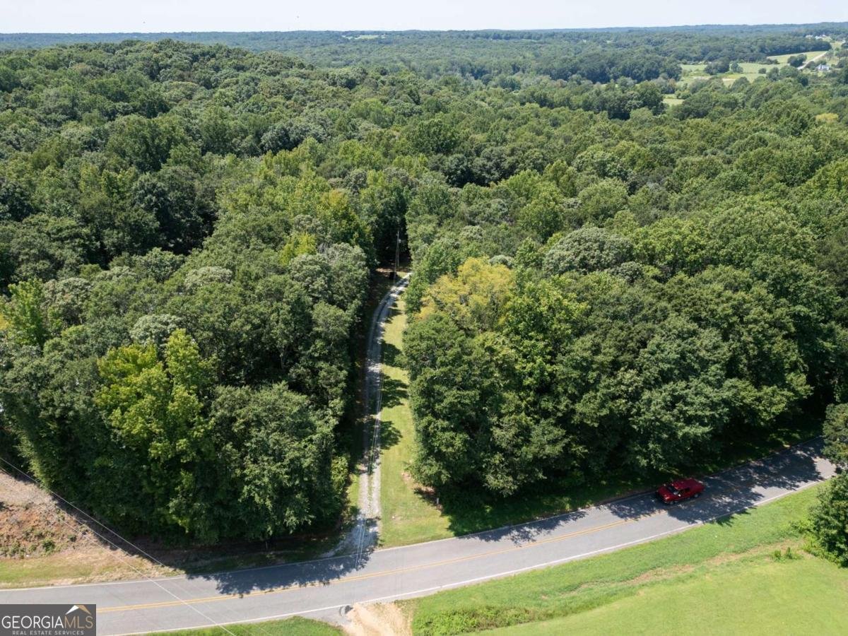 1425 Shiloh Fort Lamar Road Danielsville - Photo 43