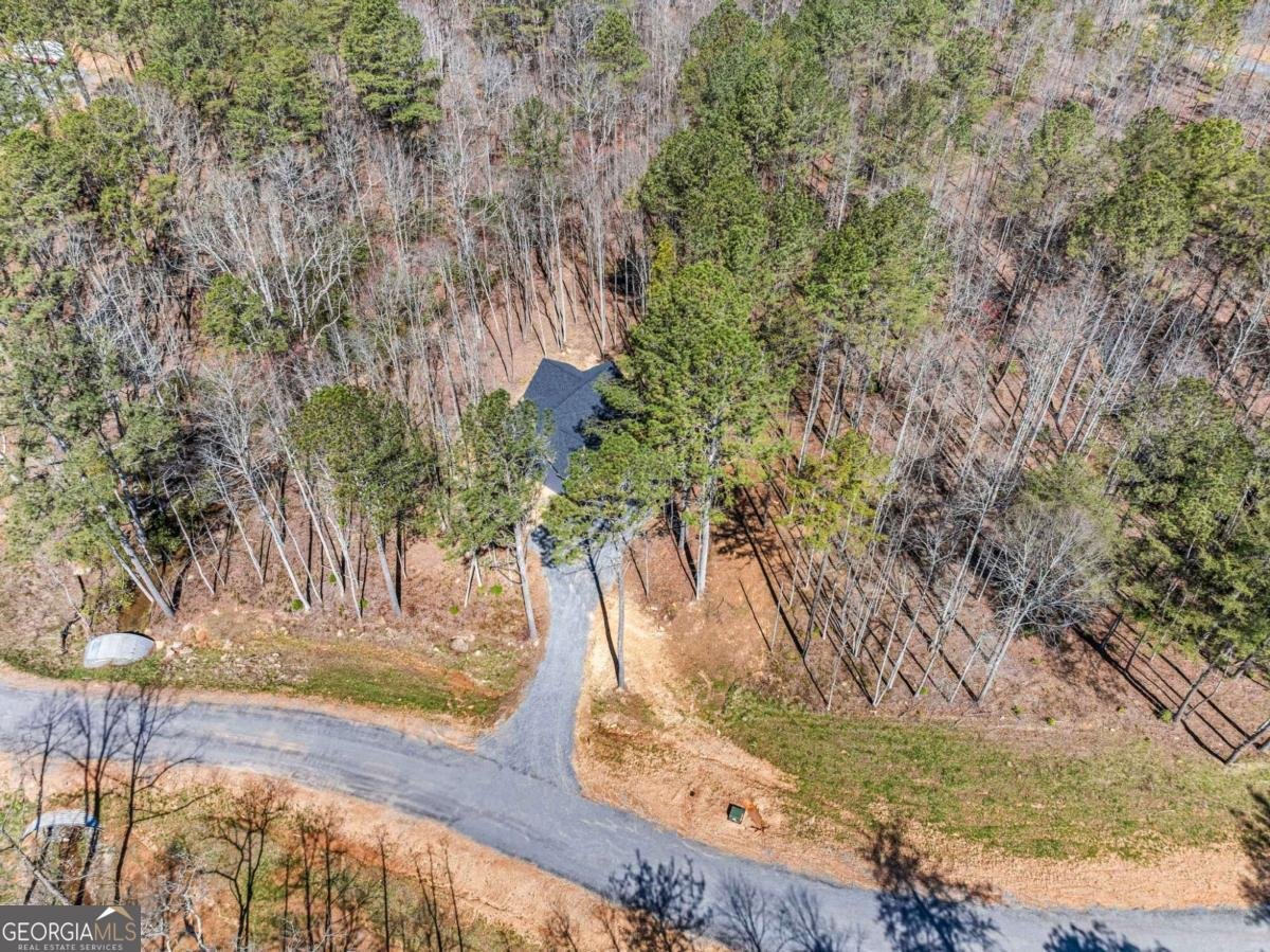 246 Woodward Way Talking Rock - Photo 10