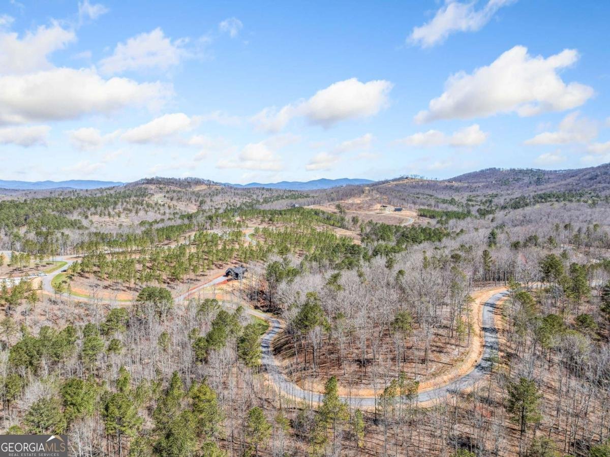 246 Woodward Way Talking Rock - Photo 12