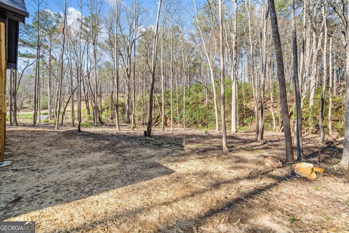 246 Woodward Way Talking Rock - Photo 41