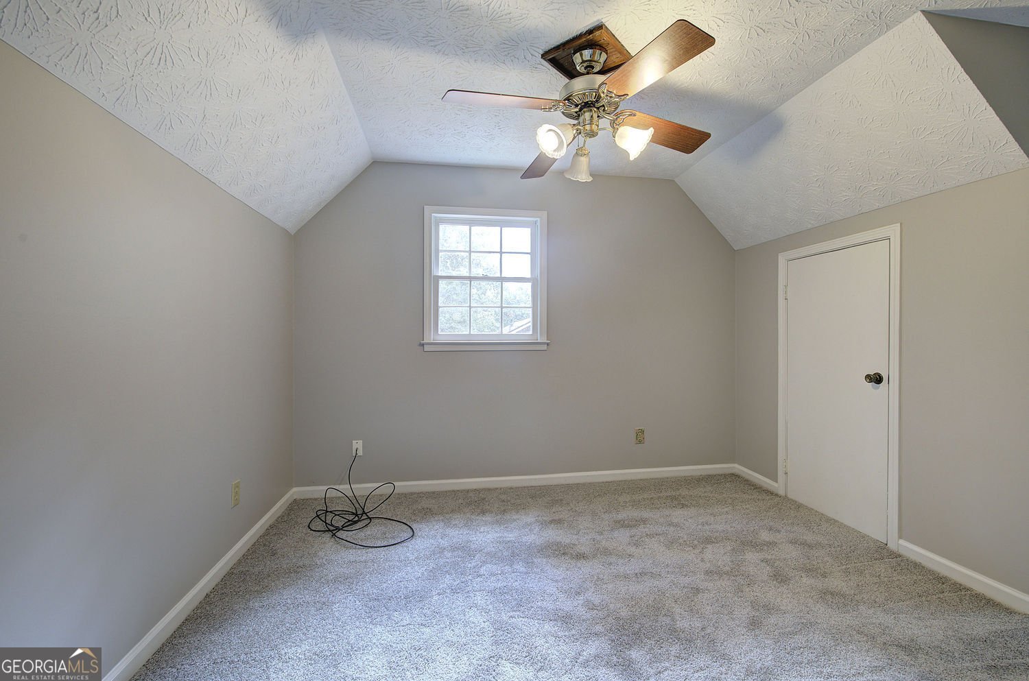 530 Cove Road canton - Photo 36