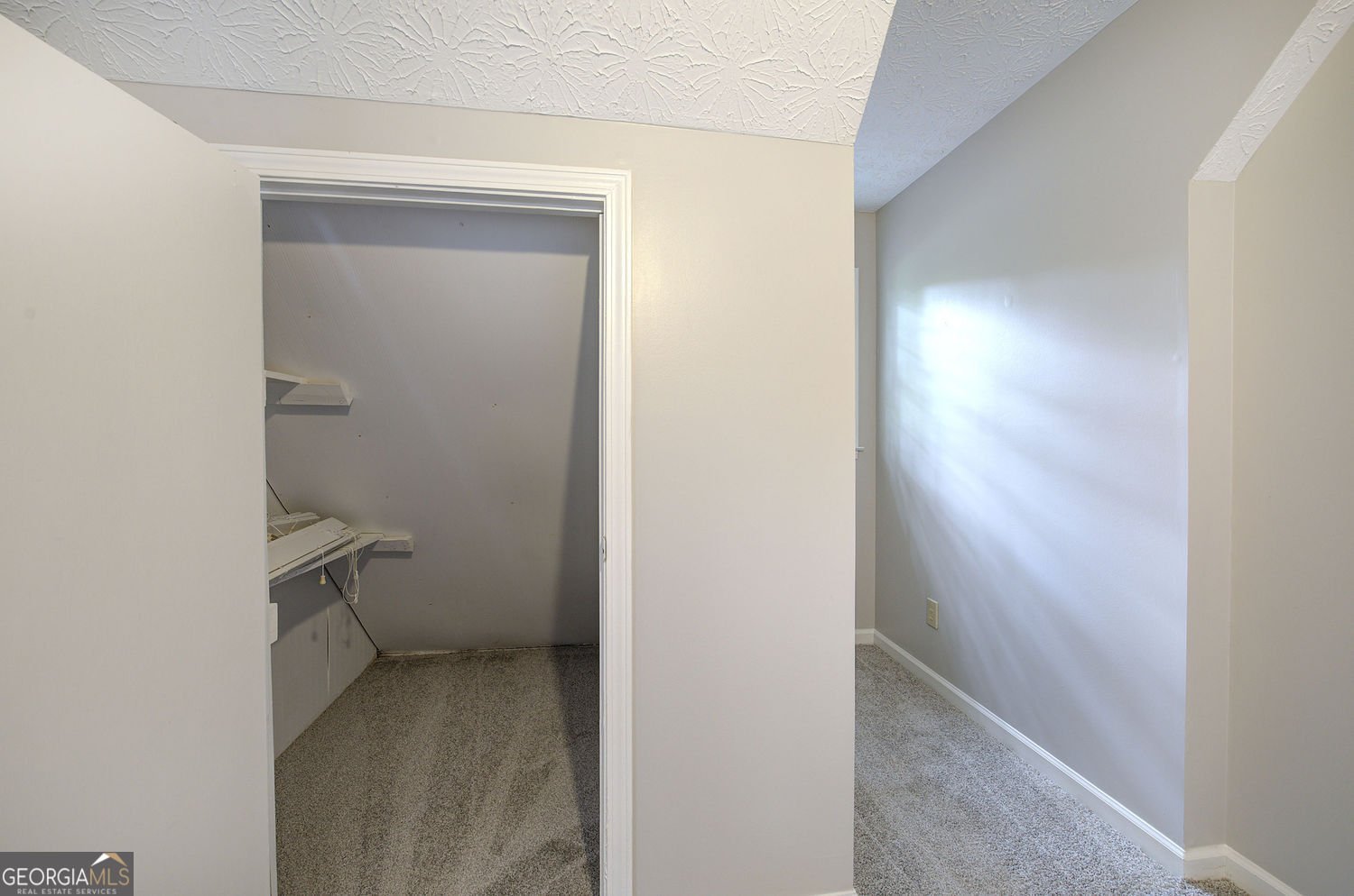 530 Cove Road canton - Photo 37