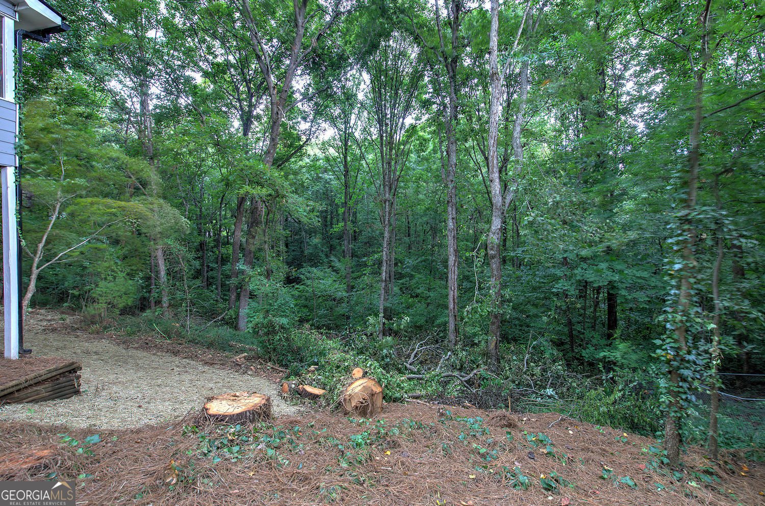 530 Cove Road canton - Photo 8