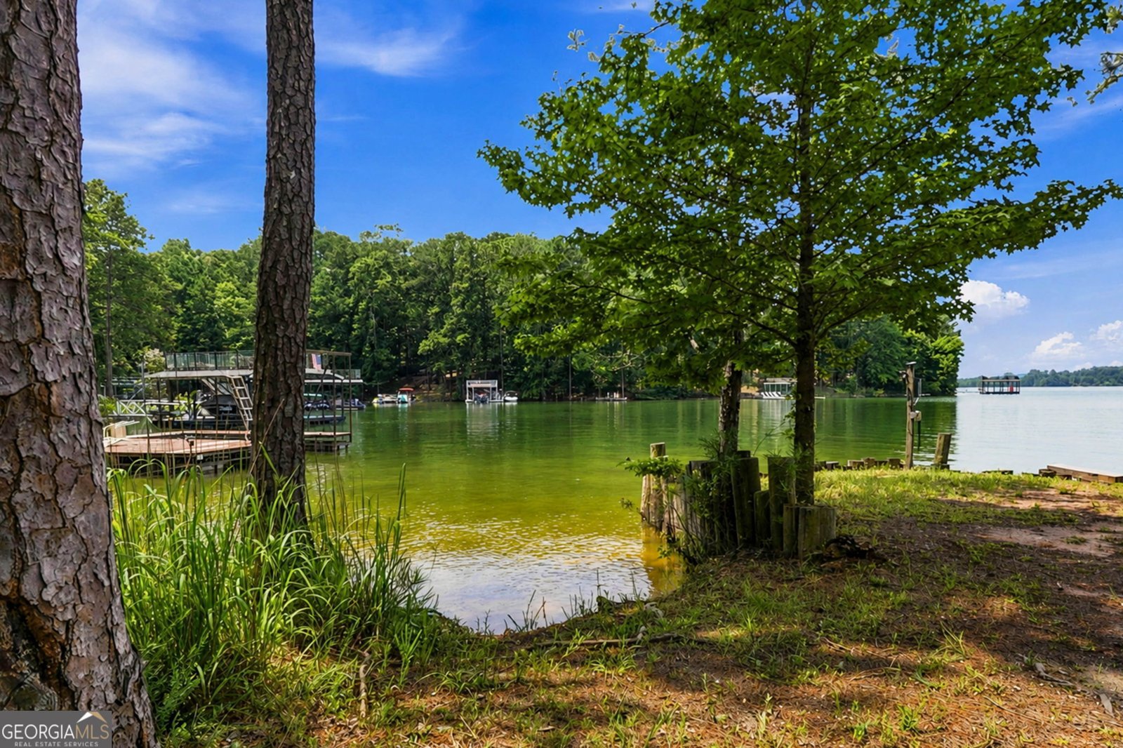 400 Cottonwood Drive Woodstock - Photo 46