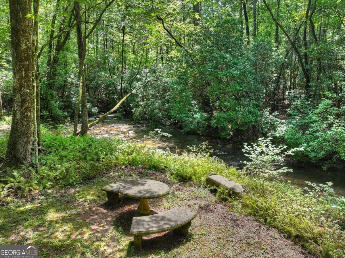 20 Bear Trail Ellijay - Photo 42