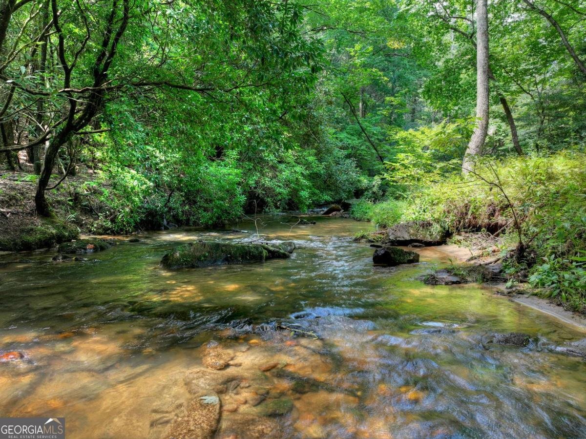 20 Bear Trail Ellijay - Photo 43
